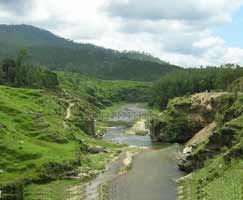 Honeymoon Tour To Binsar